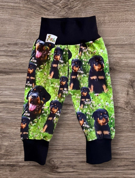 Fallegur buxur með rottweiler hunda mynstri