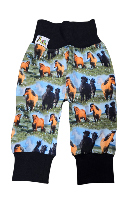 Íslenskir hestar buxur